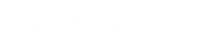 First National Agency Logo White Transparent